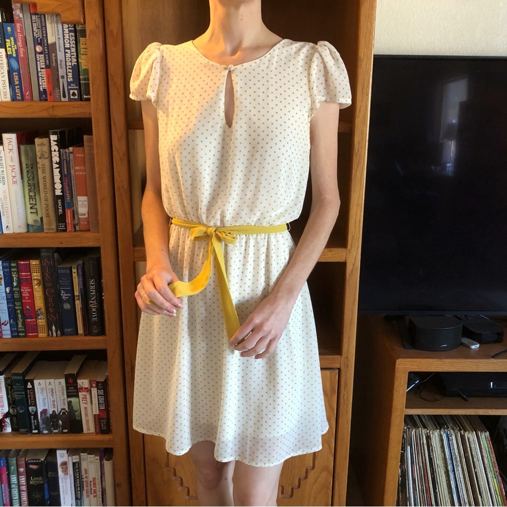 👗EUC The Hanger polka dot dress